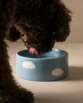 Egg Dog Home