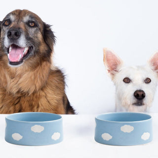 Cloud Pet Bowl 16,1.97 in 2 Pieces Set - Egg Back Home