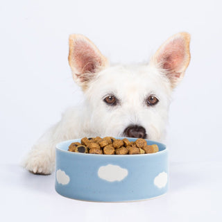 Cloud Pet Bowl 5.51 in 2 Pieces Set - Egg Back Home